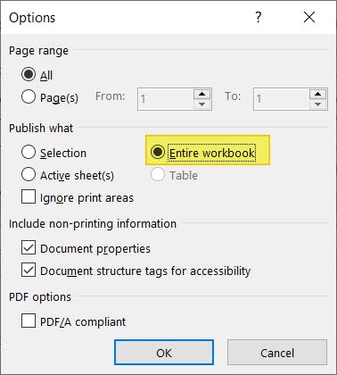 Entire workbook radio button highlighted in Options dialog box.