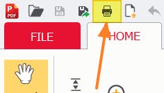 Print button highlighted in PDF Pro.