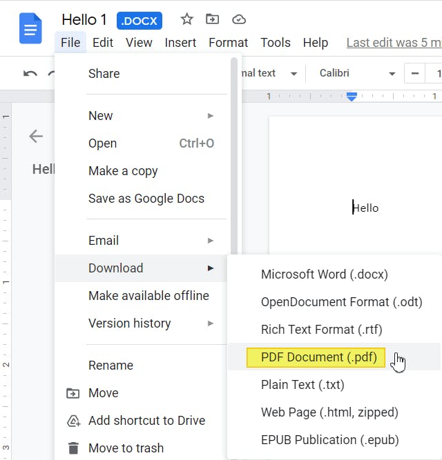 PDF Document highlighted as file type to download from Google Docs.