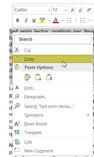 The right-click context menu in Microsoft Word.  The Copy selection is highlighted. 