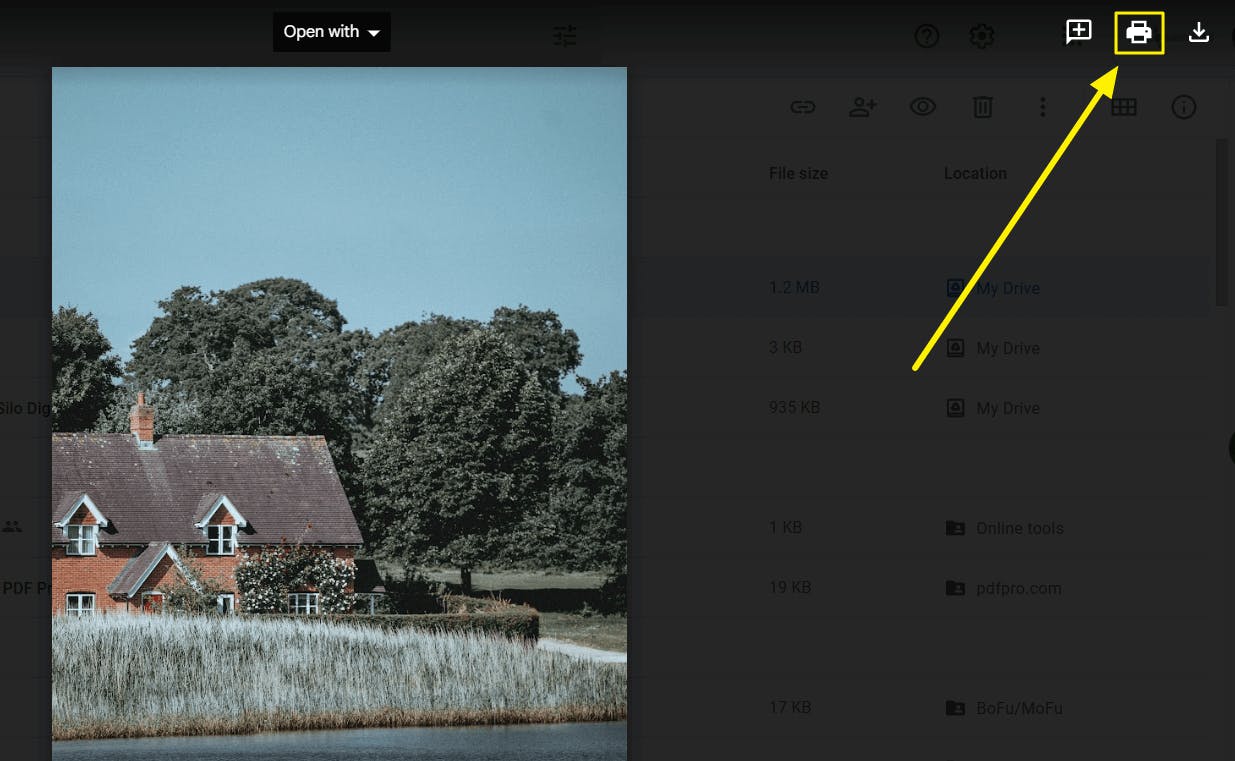 Photo preview in Google Drive. The Printer button is highlighted and has a yellow arrow pointing at it. 