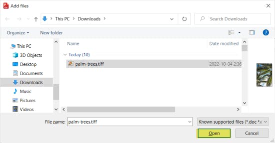 Add files dialog box with the "palm-trees" TIFF file selected. The Open button is highlighted. 