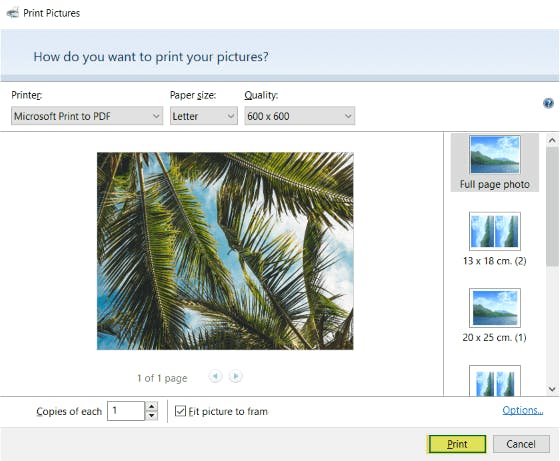 Print button highlighted in the Print Pictures dialog box in Windows Photo Viewer.