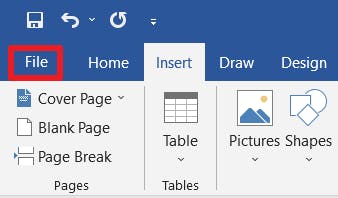 File menu button with a red box around it in MS Word. 