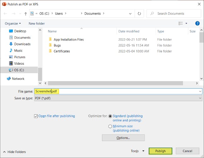 Publish as PDF or XPS dialog box with the File name "Screenshot" highlighted and the Publish button highlighted. 