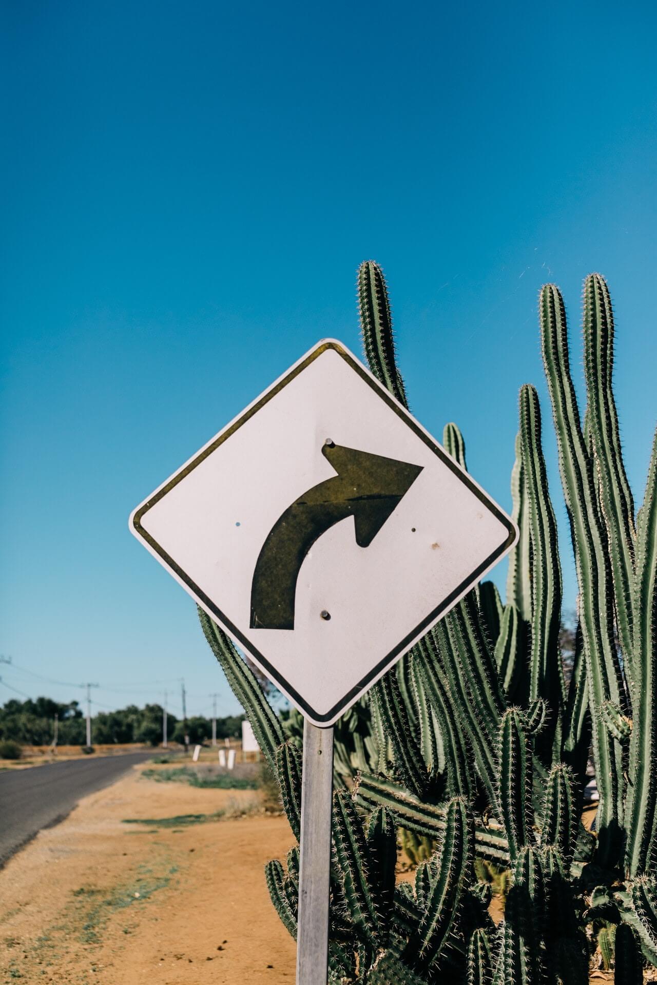 right turn street sign with cactuses behind it