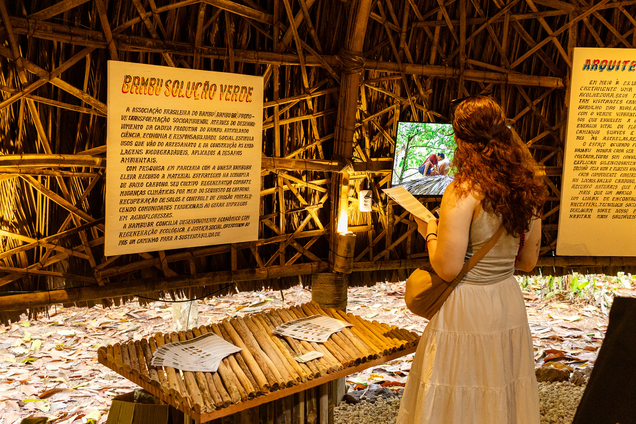 Bambu utilizado em painéis e instalações expositivas