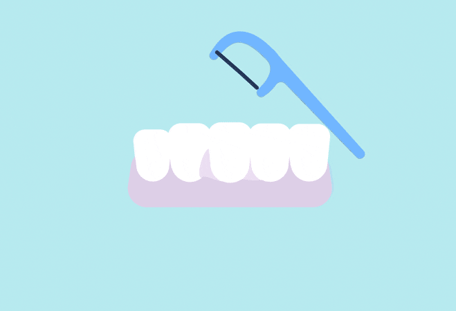 Pearlii The Floss-ophy Pearlii The Floss-ophy