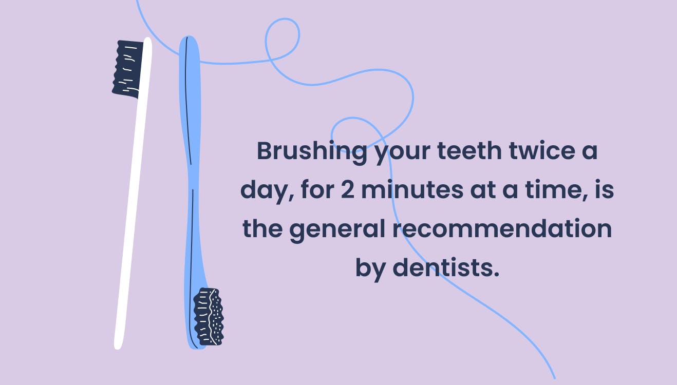 Illustration showing two toothbrushes with text saying 'Brushing your teeth twice a day, for 2 minutes at a time, is the general recommendation by dentists.'