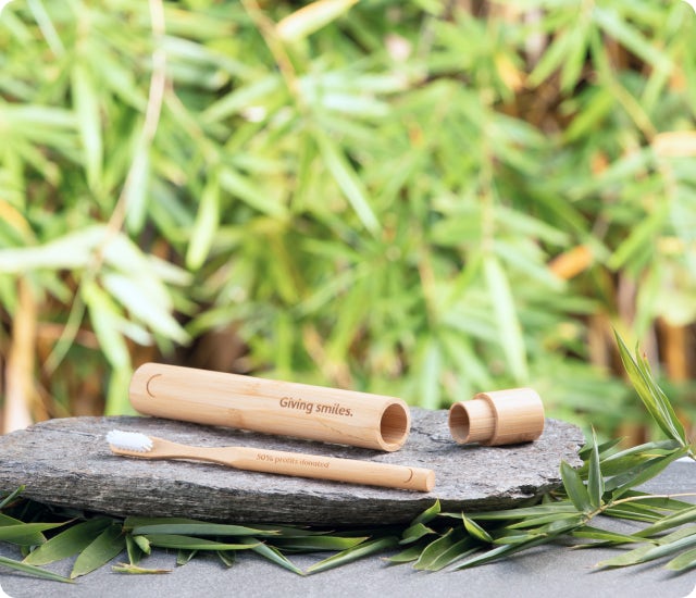 Pearlii Mosobrush Travel Case and Mosobrush, sitting on a stone in a garden setting