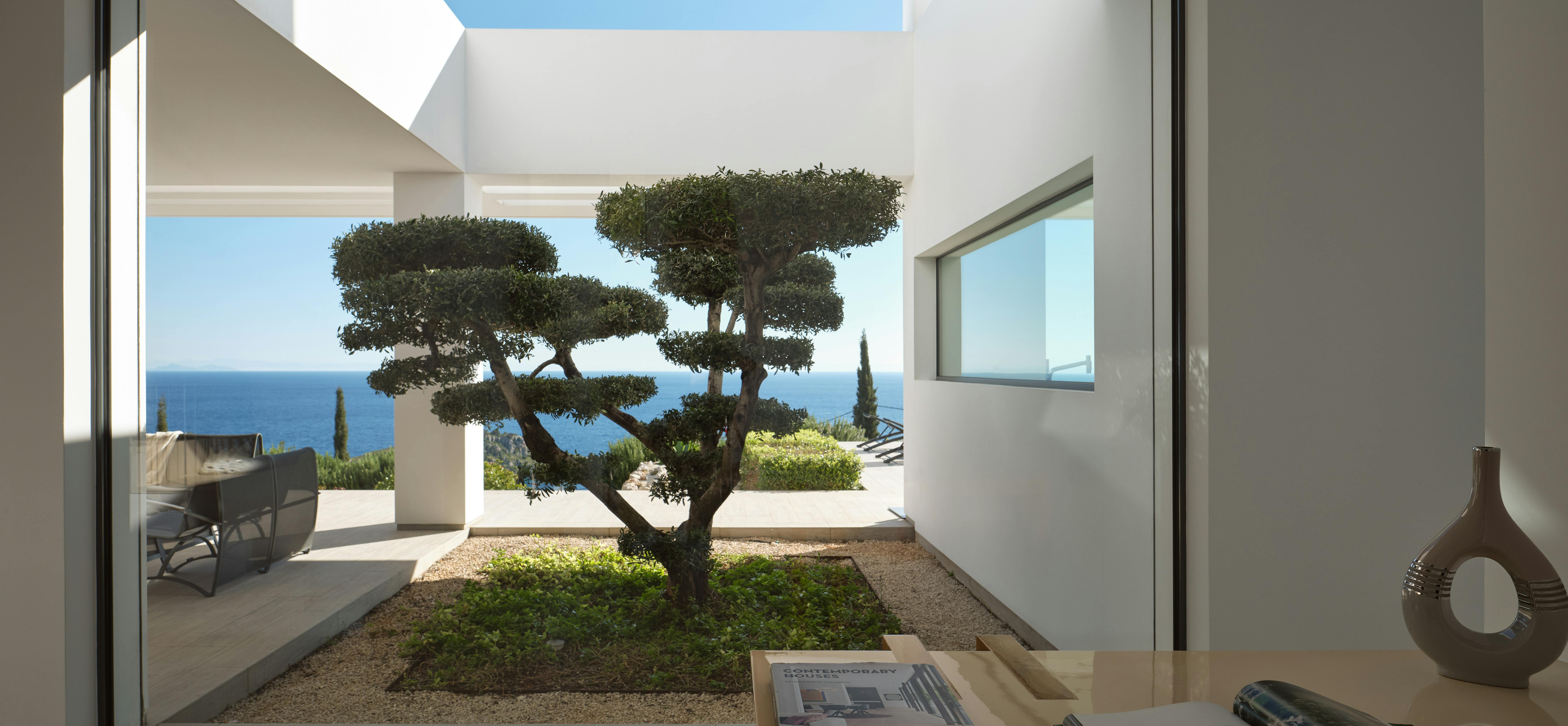 Interior view through glass wall to courtyard with sculptural olive tree, gravel garden, white pergola, and ocean horizon framed beyond.