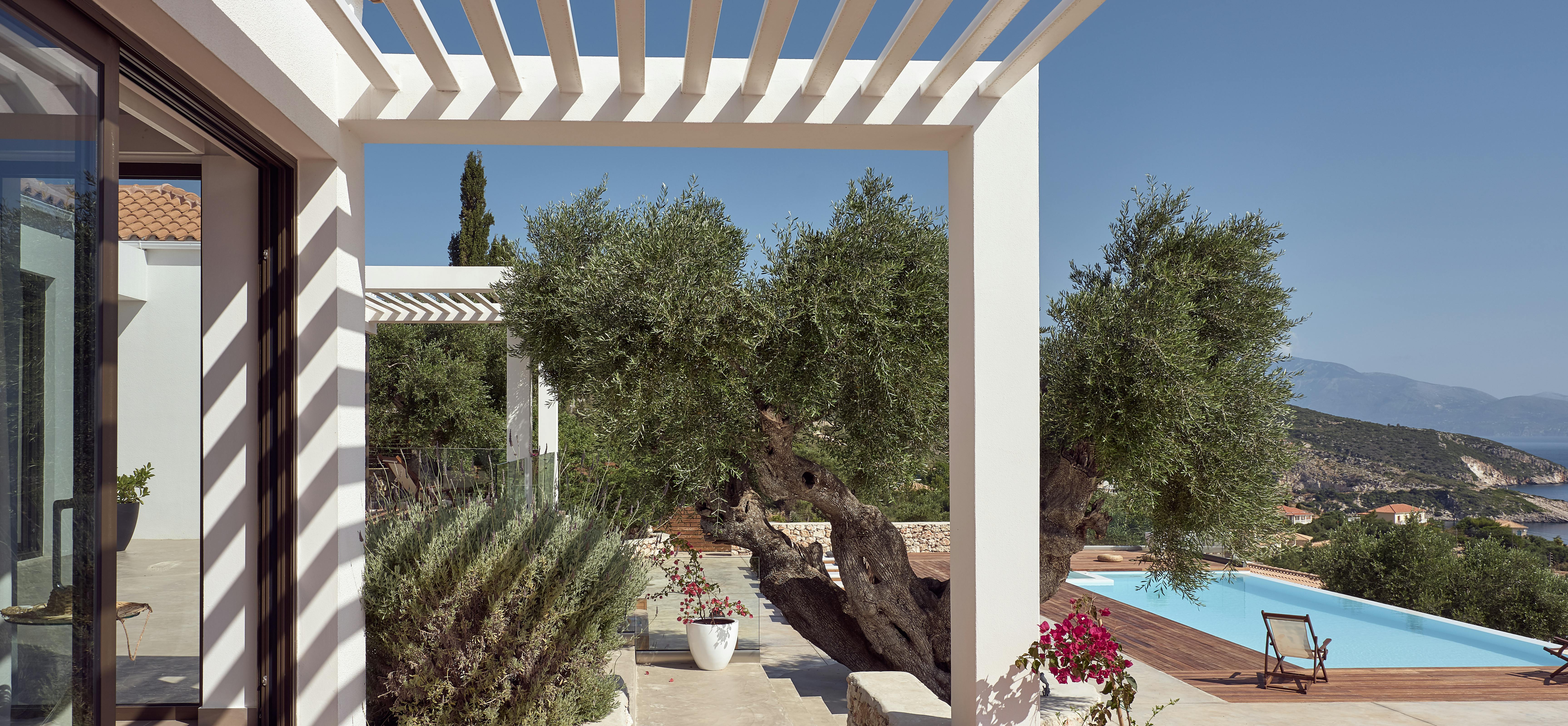 Covered terrace with white pergola, ancient olive tree, and views of pool and coastline.