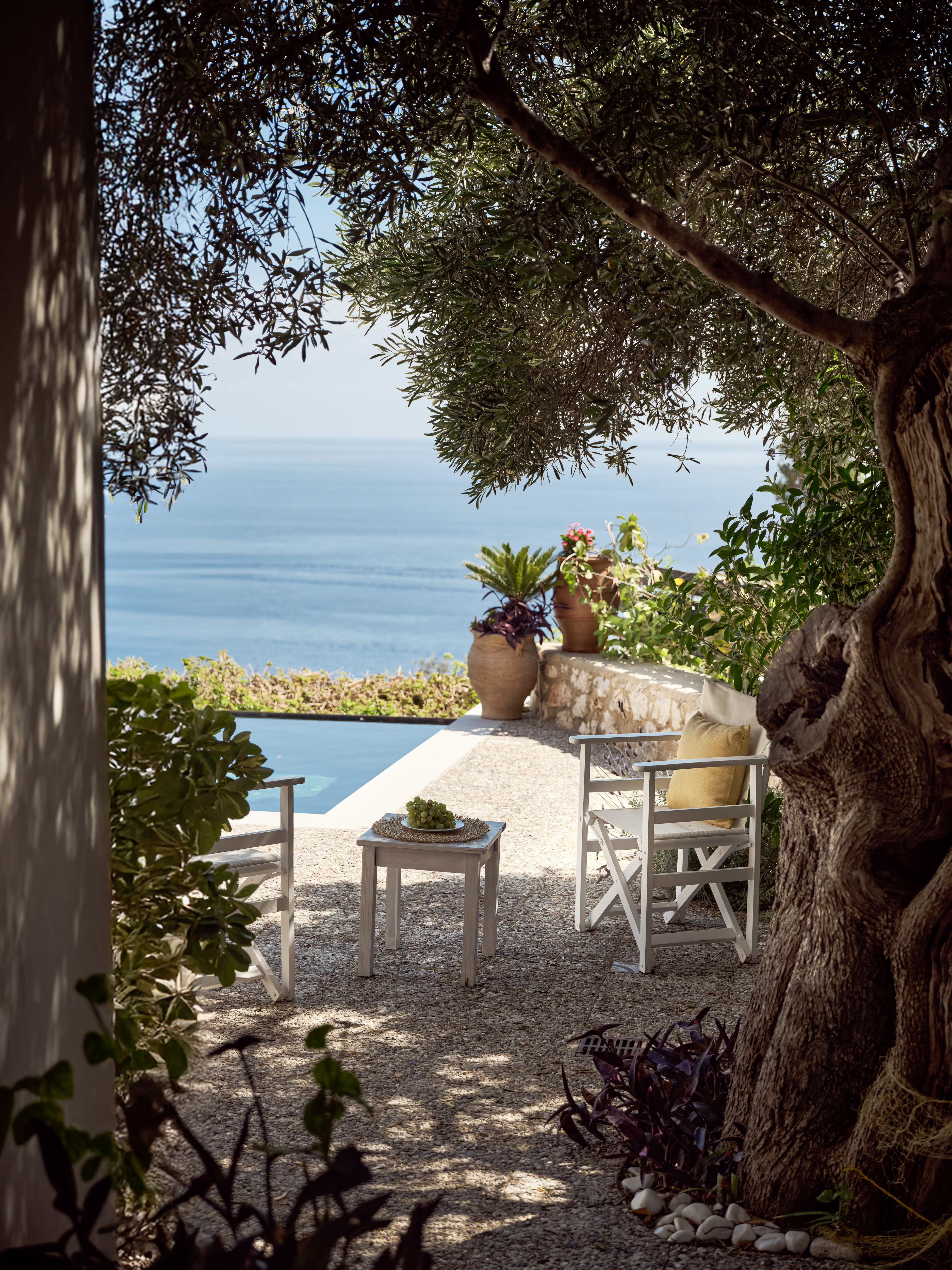 White director's chairs sit beneath ancient olive tree branches with sea views in the distance. Stone walls and terracotta pots create a serene Mediterranean garden setting.