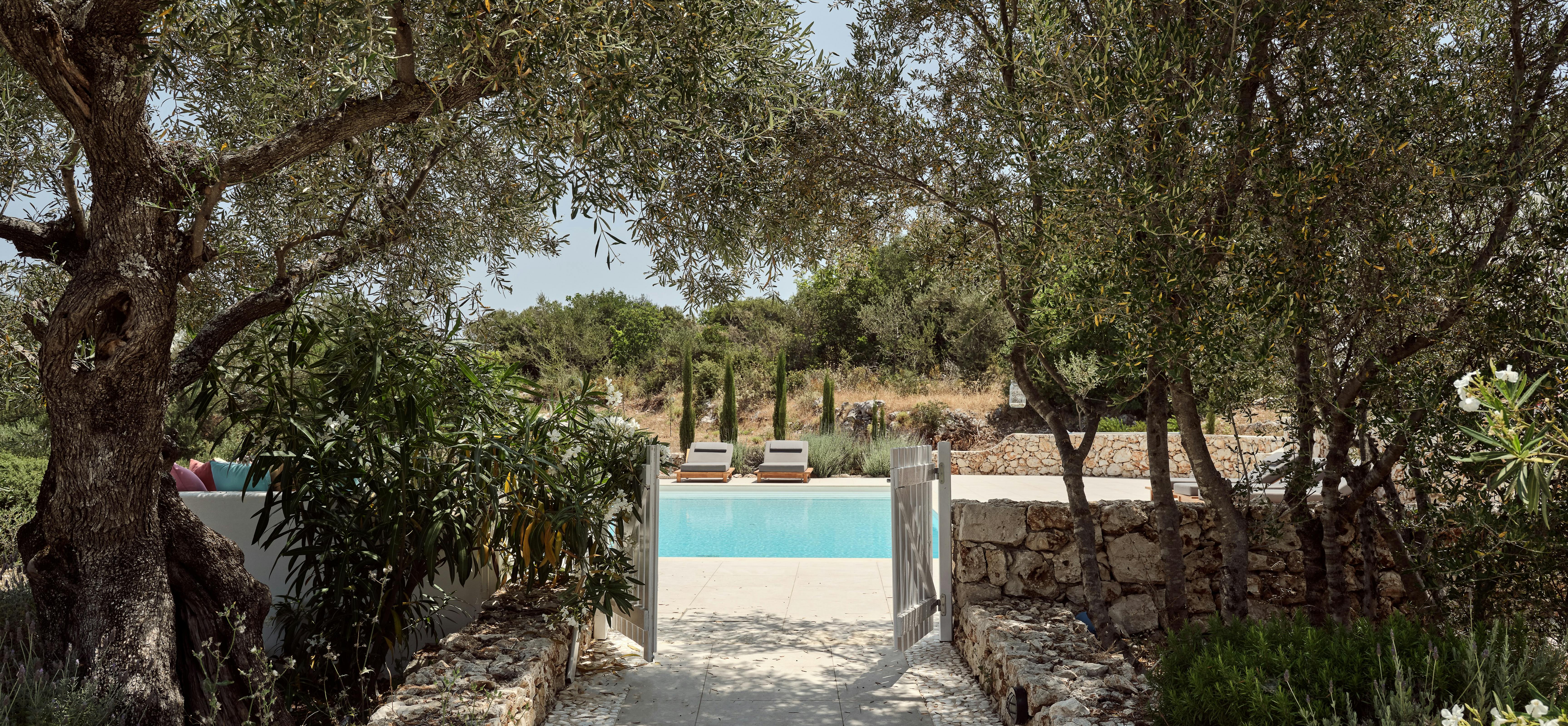 Stone-lined pathway through olive grove leading to pool area with wooden gate. Natural landscaping preserves existing trees while creating defined access routes.