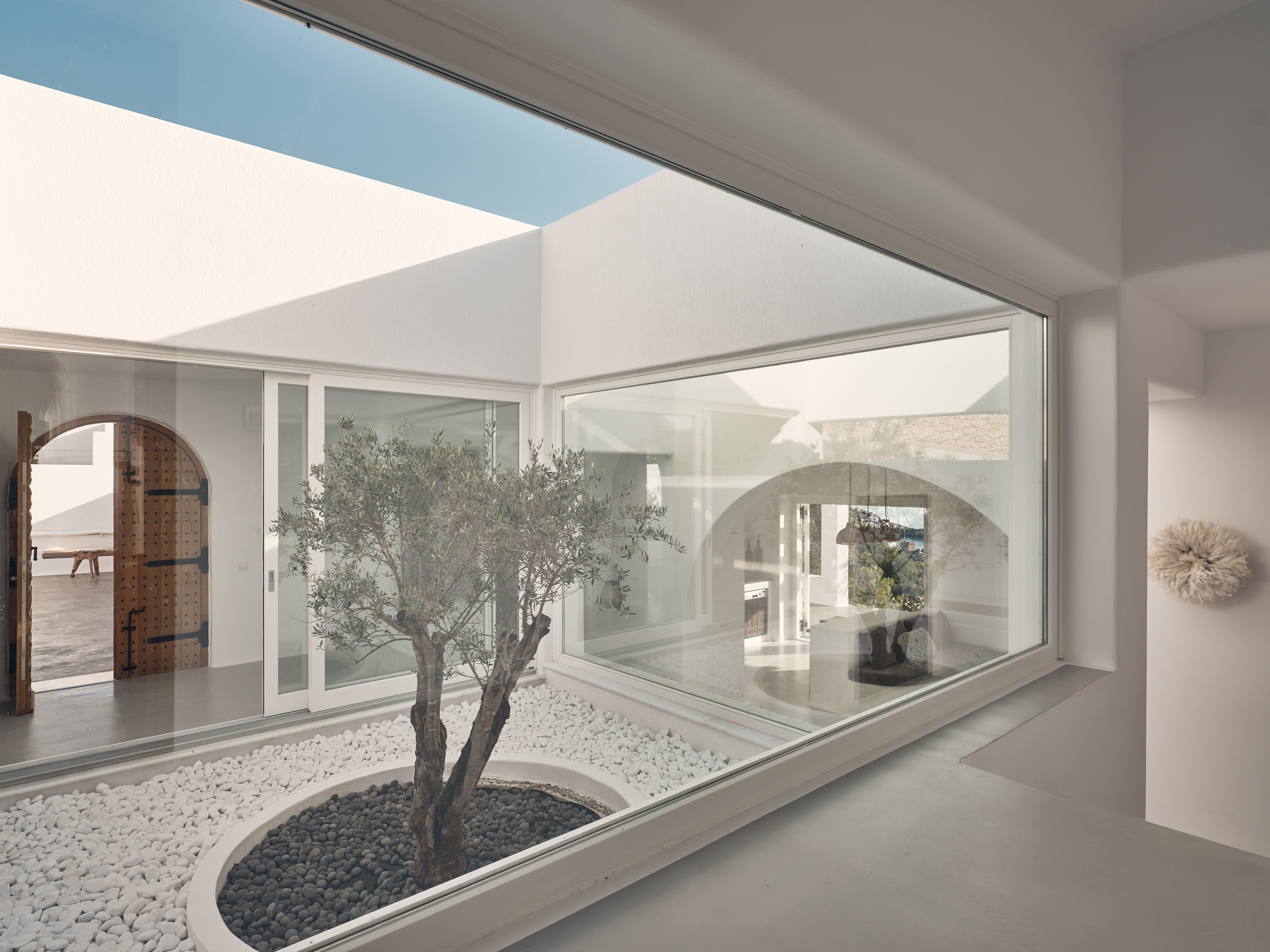 Interior courtyard garden with single olive tree surrounded by white pebbles viewed through floor-to-ceiling windows. Modern architecture frames this peaceful zen-like central space.