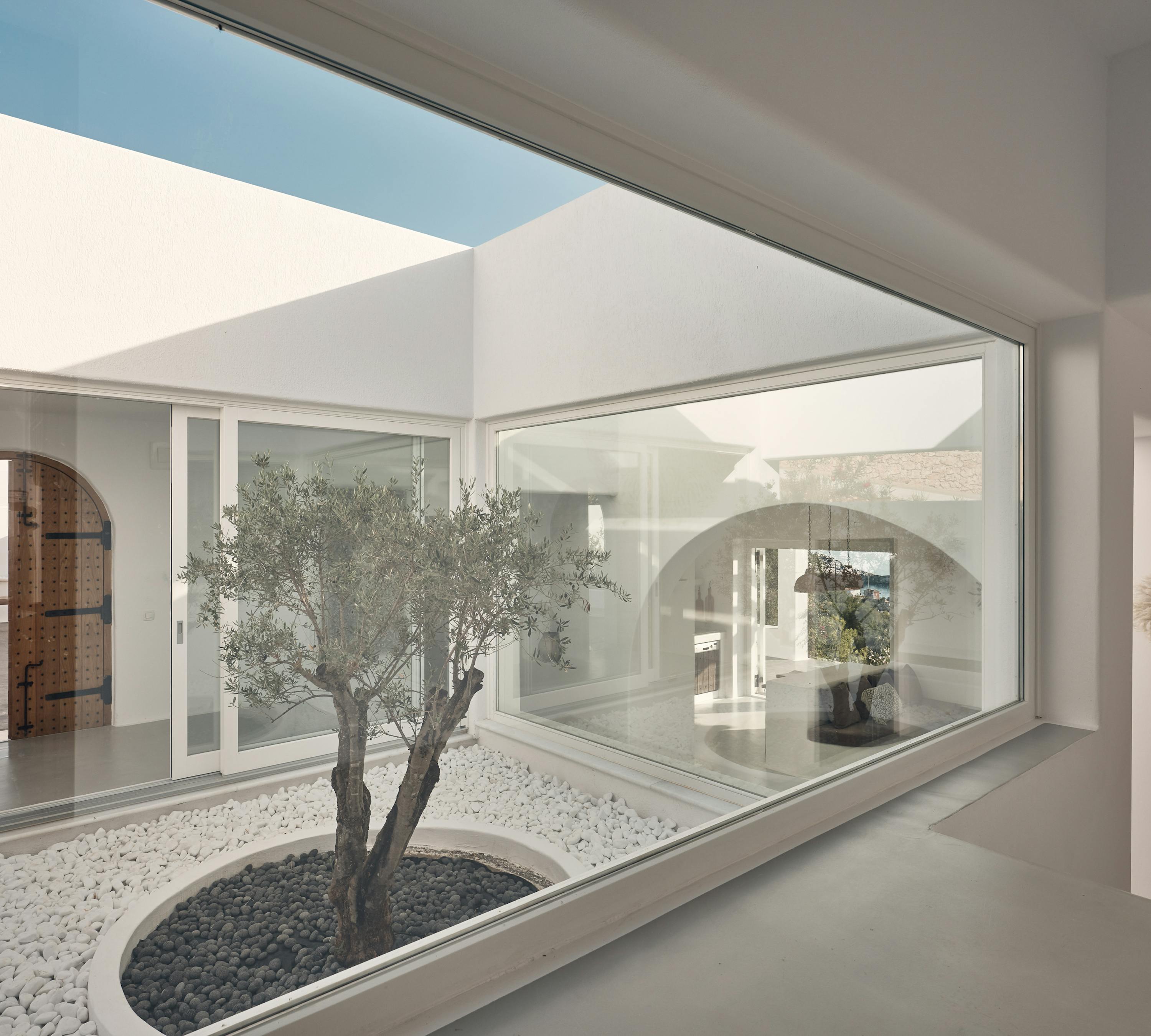 Interior courtyard garden with single olive tree surrounded by white pebbles viewed through floor-to-ceiling windows. Modern architecture frames this peaceful zen-like central space.