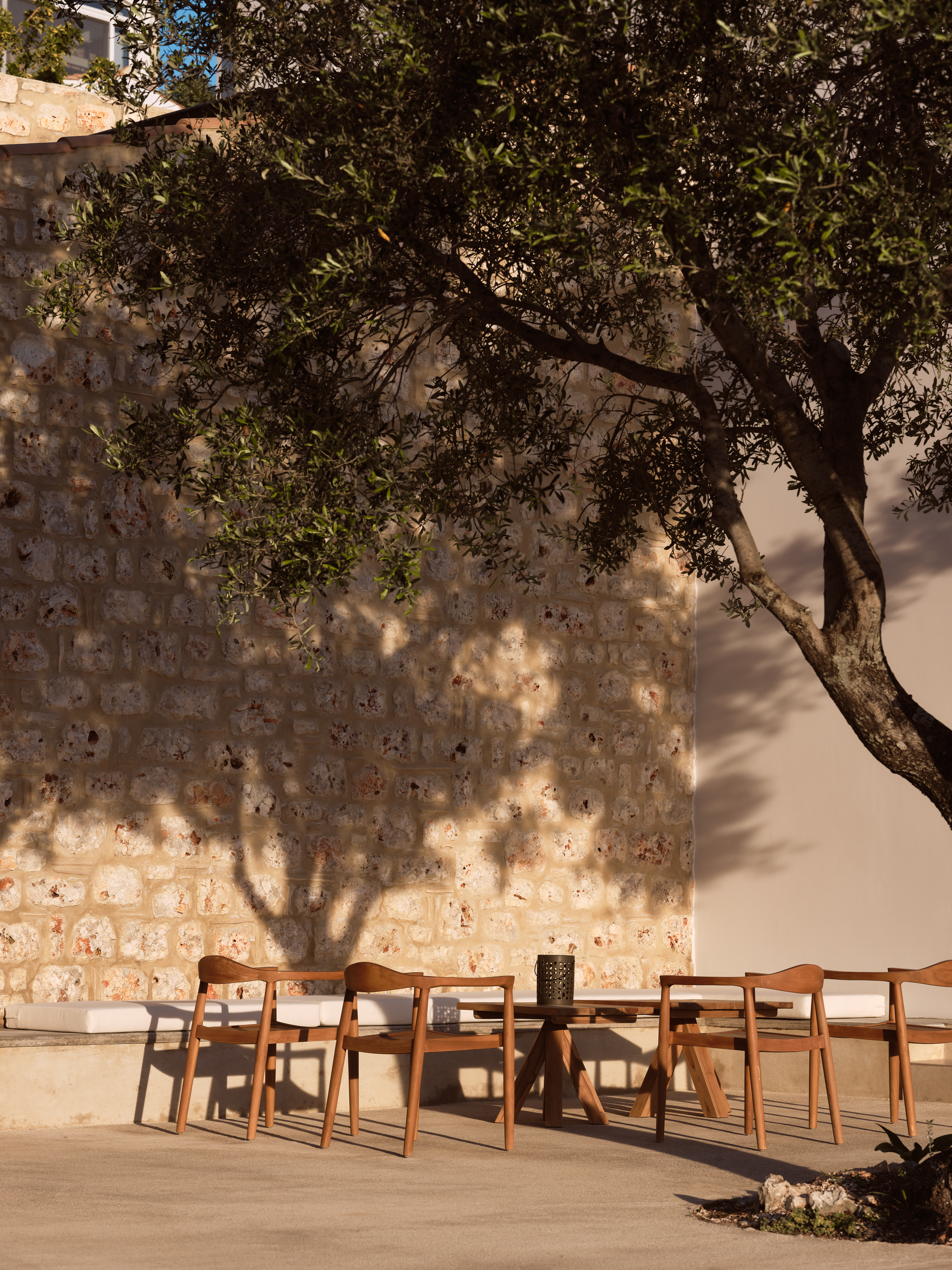 Outdoor dining area beneath ancient olive tree against weathered stone wall, bathed in dappled afternoon sunlight.