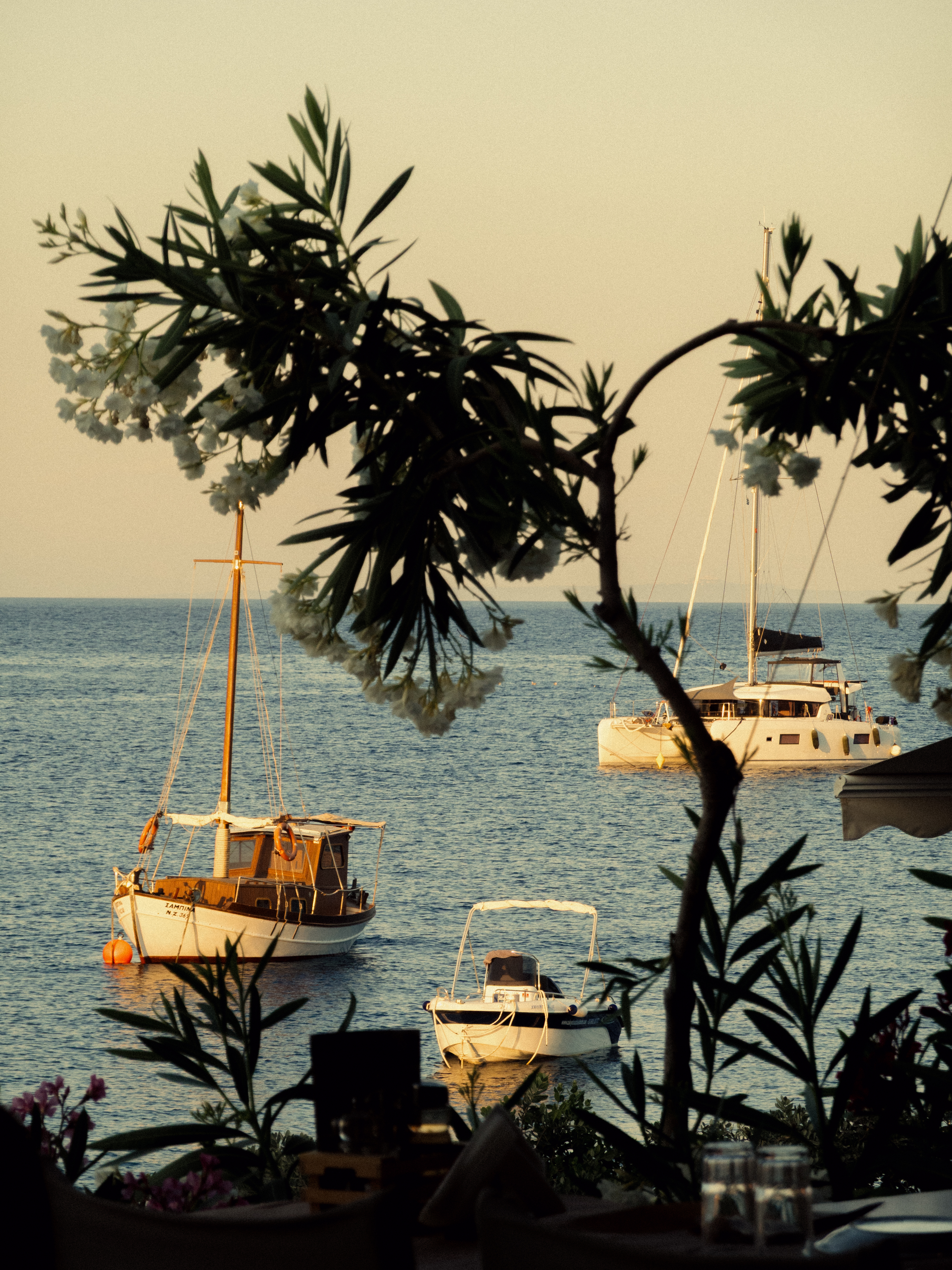 A tranquil Mediterranean harbor scene viewed through flowering oleander branches, showing several boats including a classic wooden sailboat with an orange buoy, a small motorboat, and a modern catamaran anchored in calm blue waters at dusk. The warm golden light creates a peaceful coastal atmosphere with silhouetted vegetation framing the maritime view.