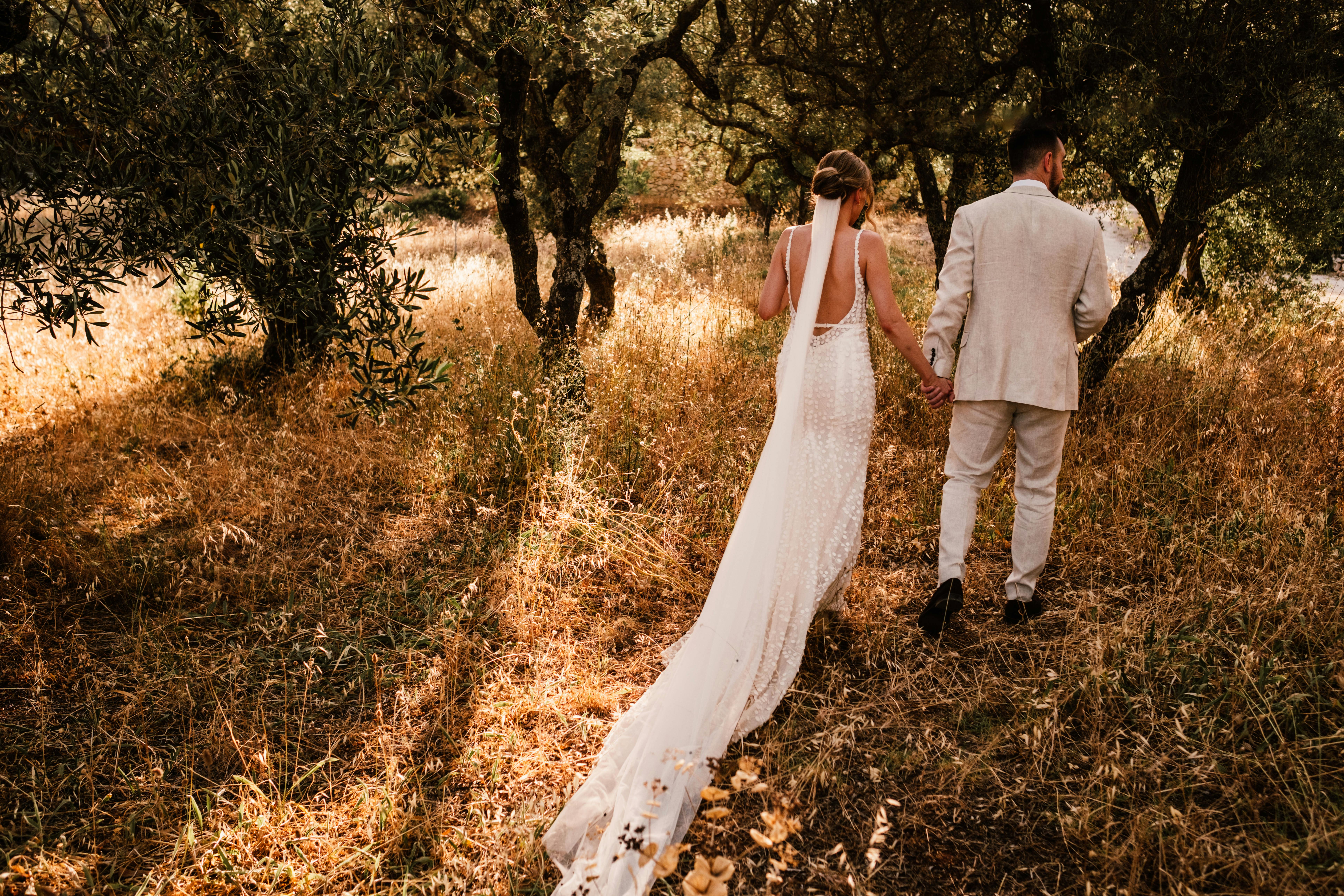 Bride and groom walking hand-in-hand through a golden olive grove at sunset. The bride wears a white backless wedding dress with flowing train, while the groom wears a light-coloured suit. Warm golden hour light filters through gnarled olive trees, illuminating the dry grass and creating a romantic Mediterranean atmosphere.