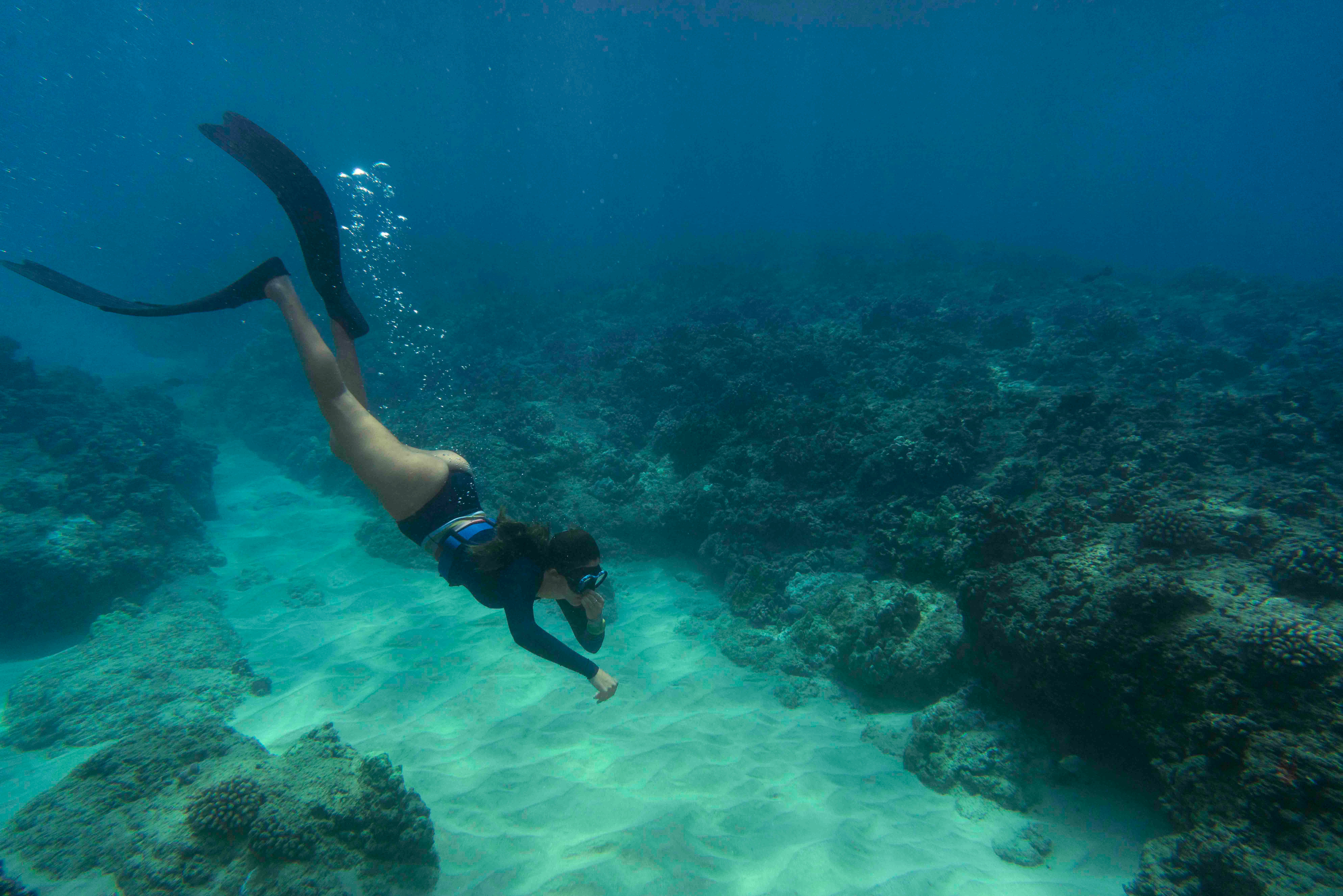 Snorkel
