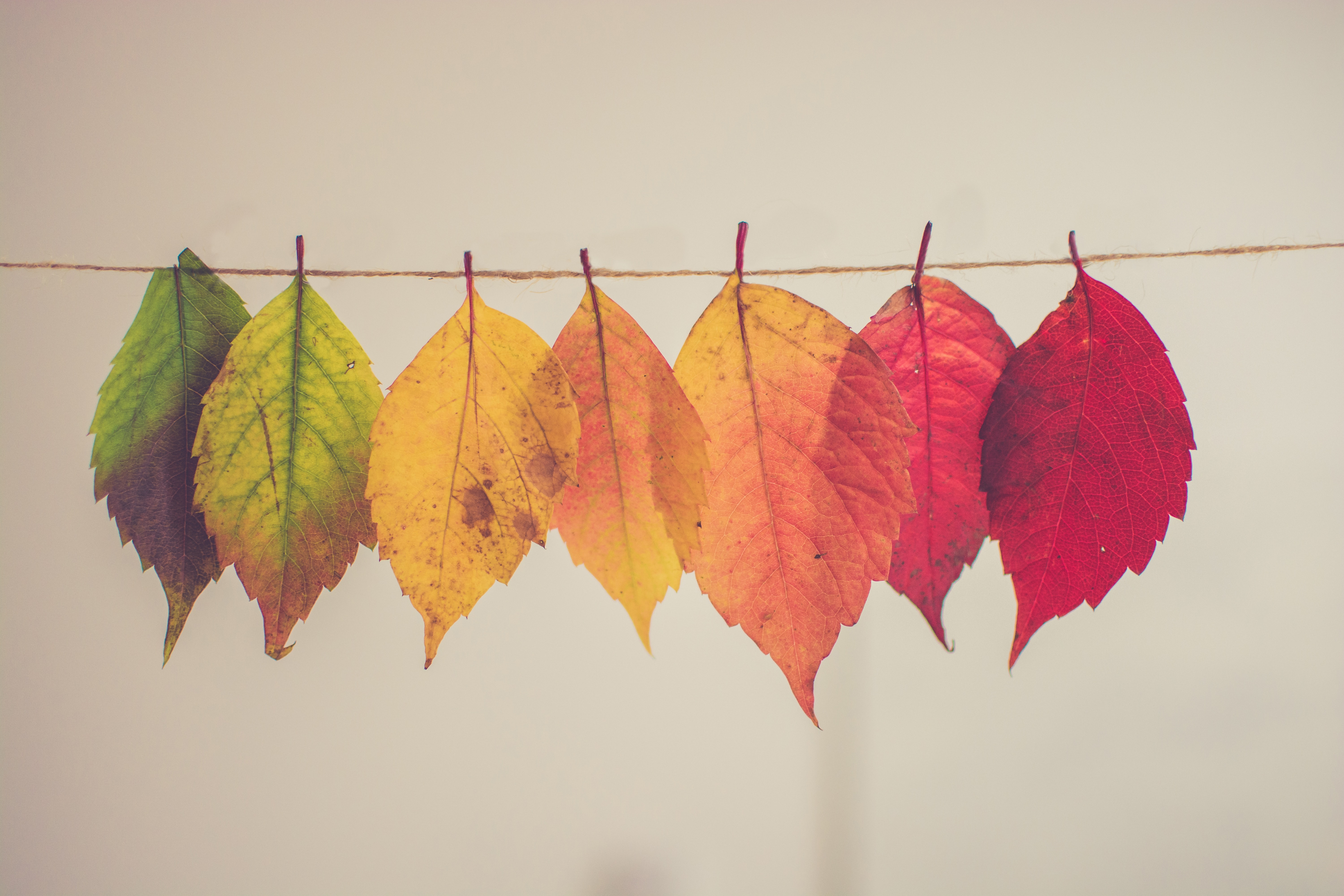 How To Change Workplace Pension Provider