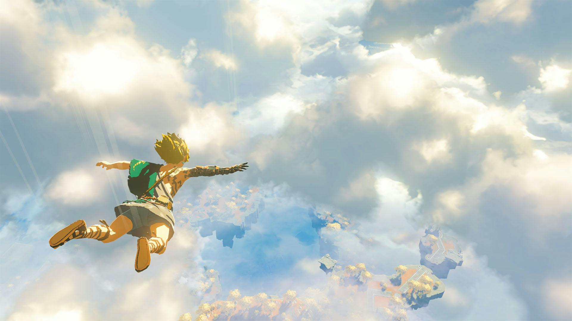 Link dropping in fron the sky.