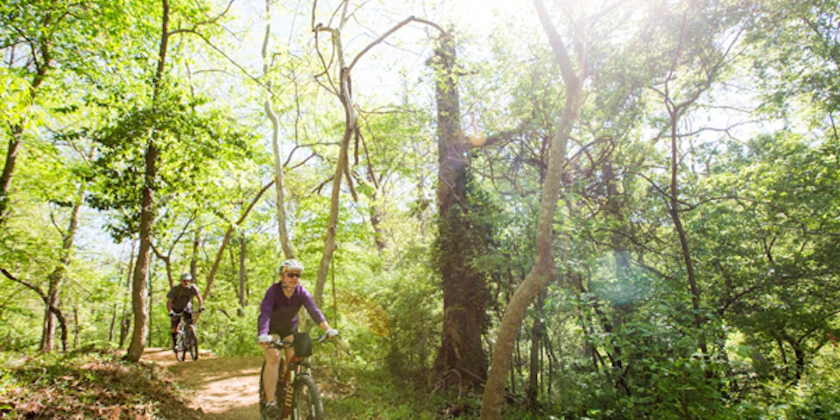 Mountain bikes on sunny path in forest