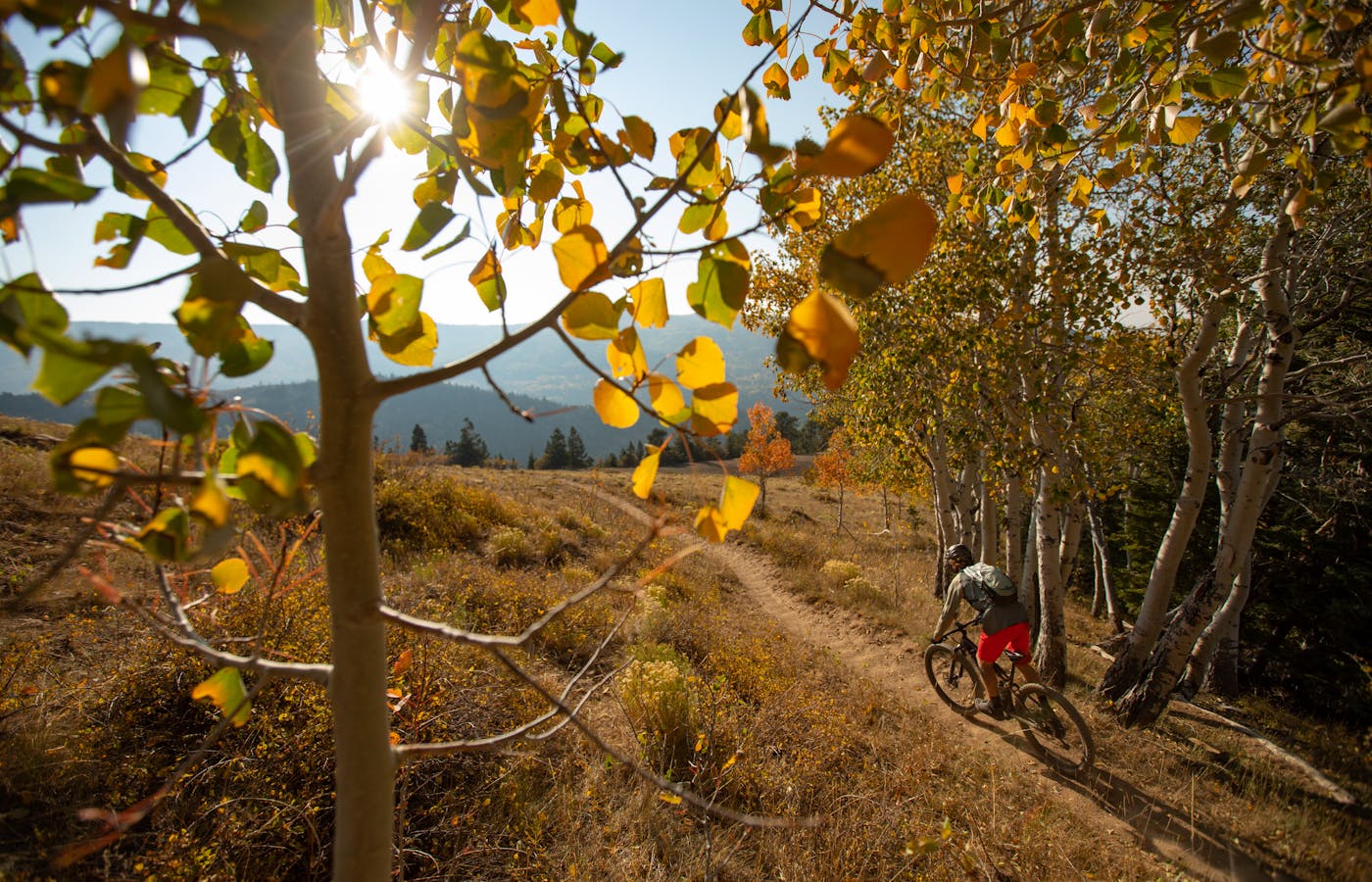 A stunning ride on the Aquarius Trail Huts system in Dixie National Forest, funded in part by UDOR (Photo Credit: Ryan Salm)