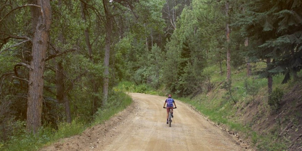 Mountain biker on logging road