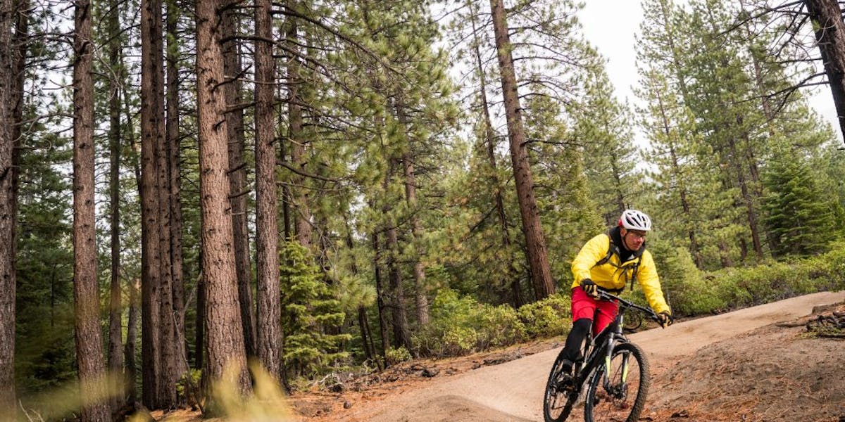 eMTB riding in a pine forest