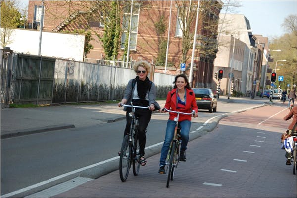 round curb barrier bike lane in netherlands