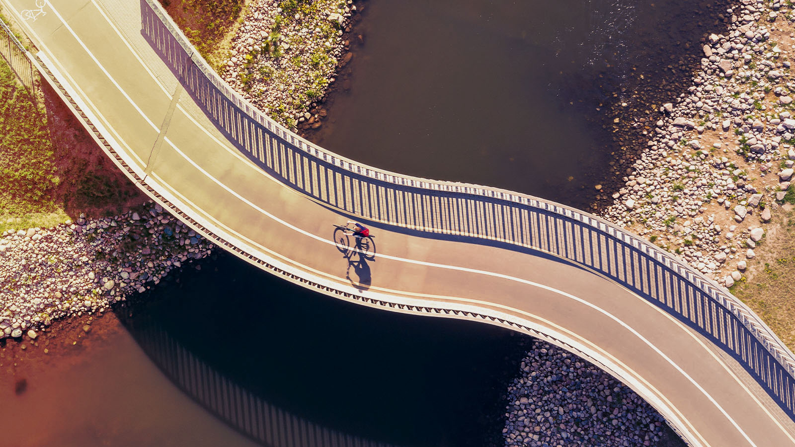 bicycle network forum