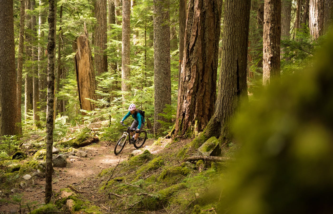 Great Smoky Mountains National Park Moves Forward With Mountain Bike Trail Plan - 5c5ee0b9 8f4f 41b0 9a43 6d1f7beda7b1 iStock 628217586