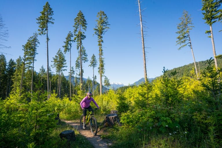 Biking Washington's Olympic Adventure Route.