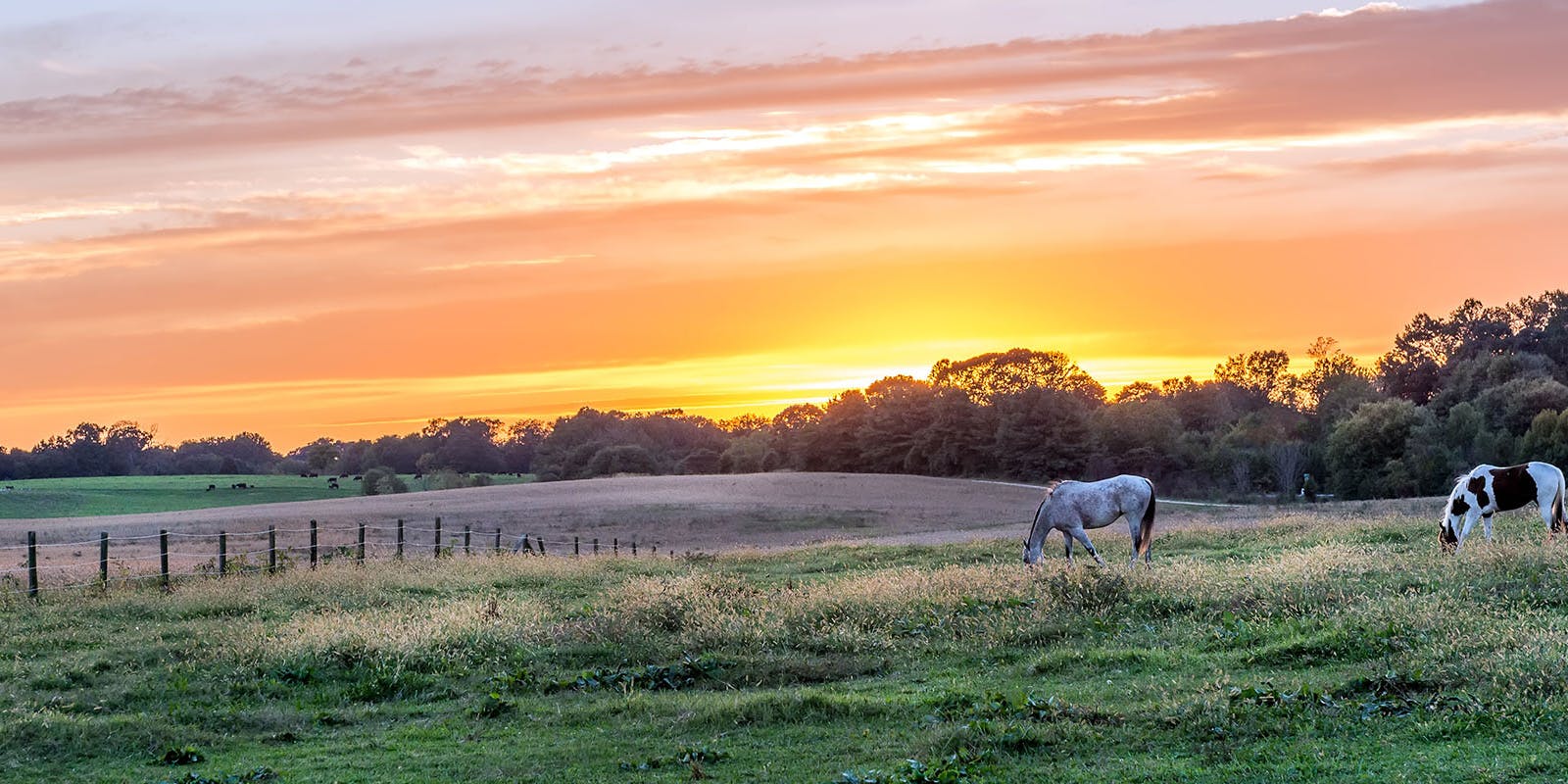Maryland PeopleForBikes