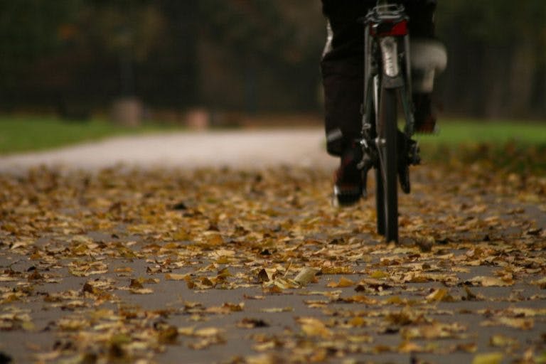 Riding on a leaf-covered trail.