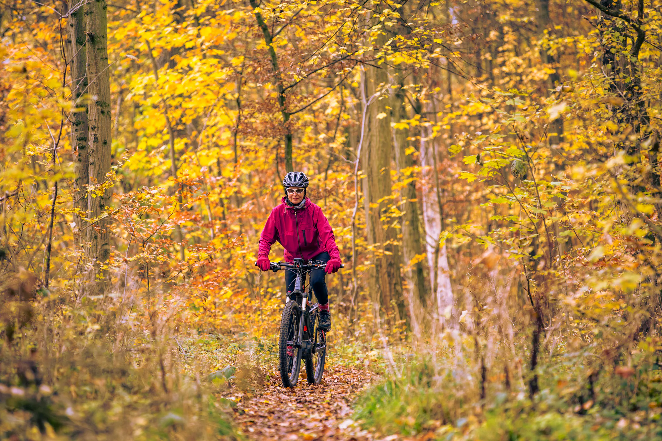 Biking related image