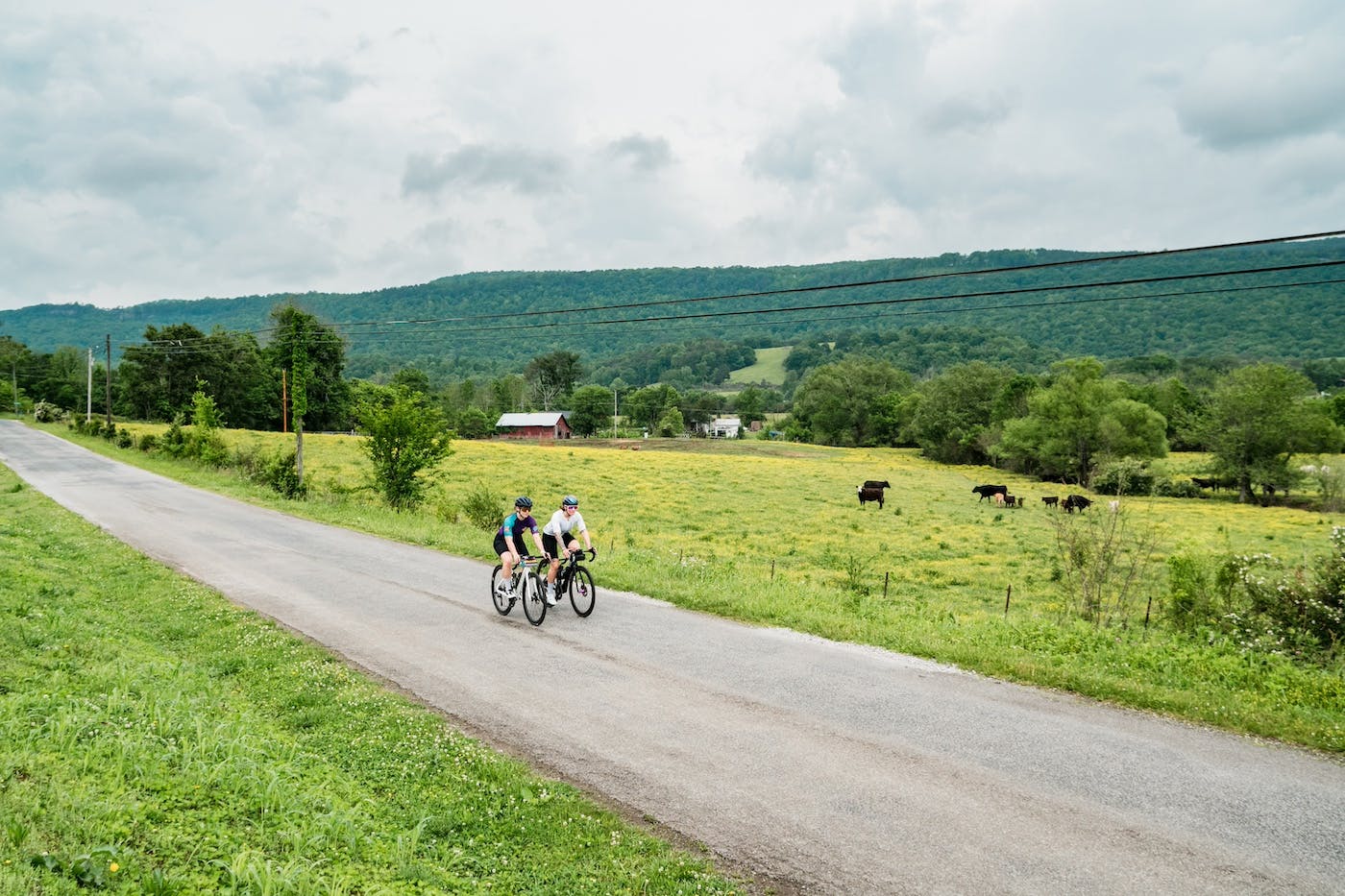 tourism by bike