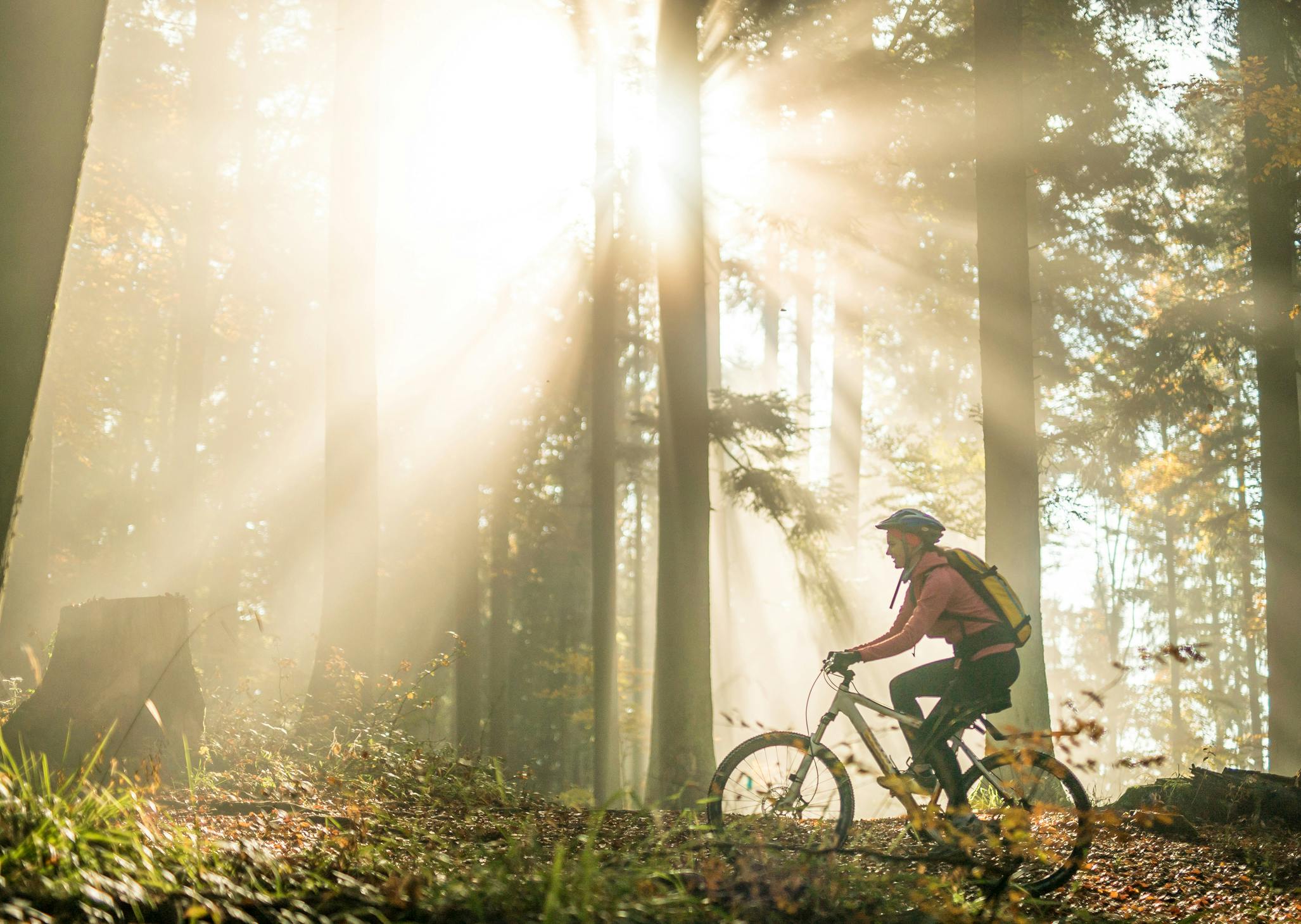 Bike-oriented image