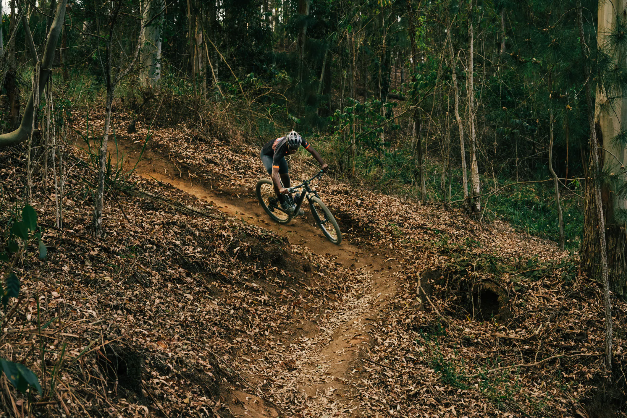 Biking related image