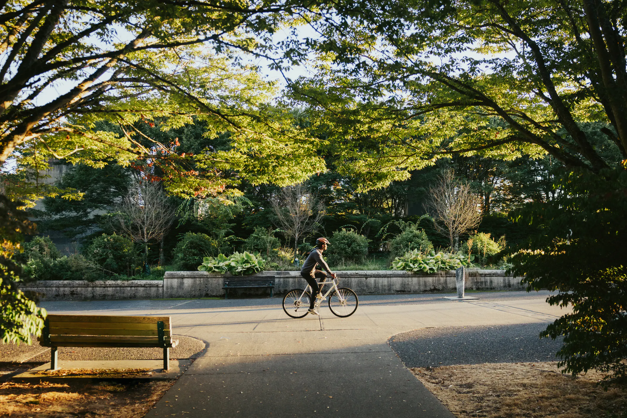 Bike-oriented image