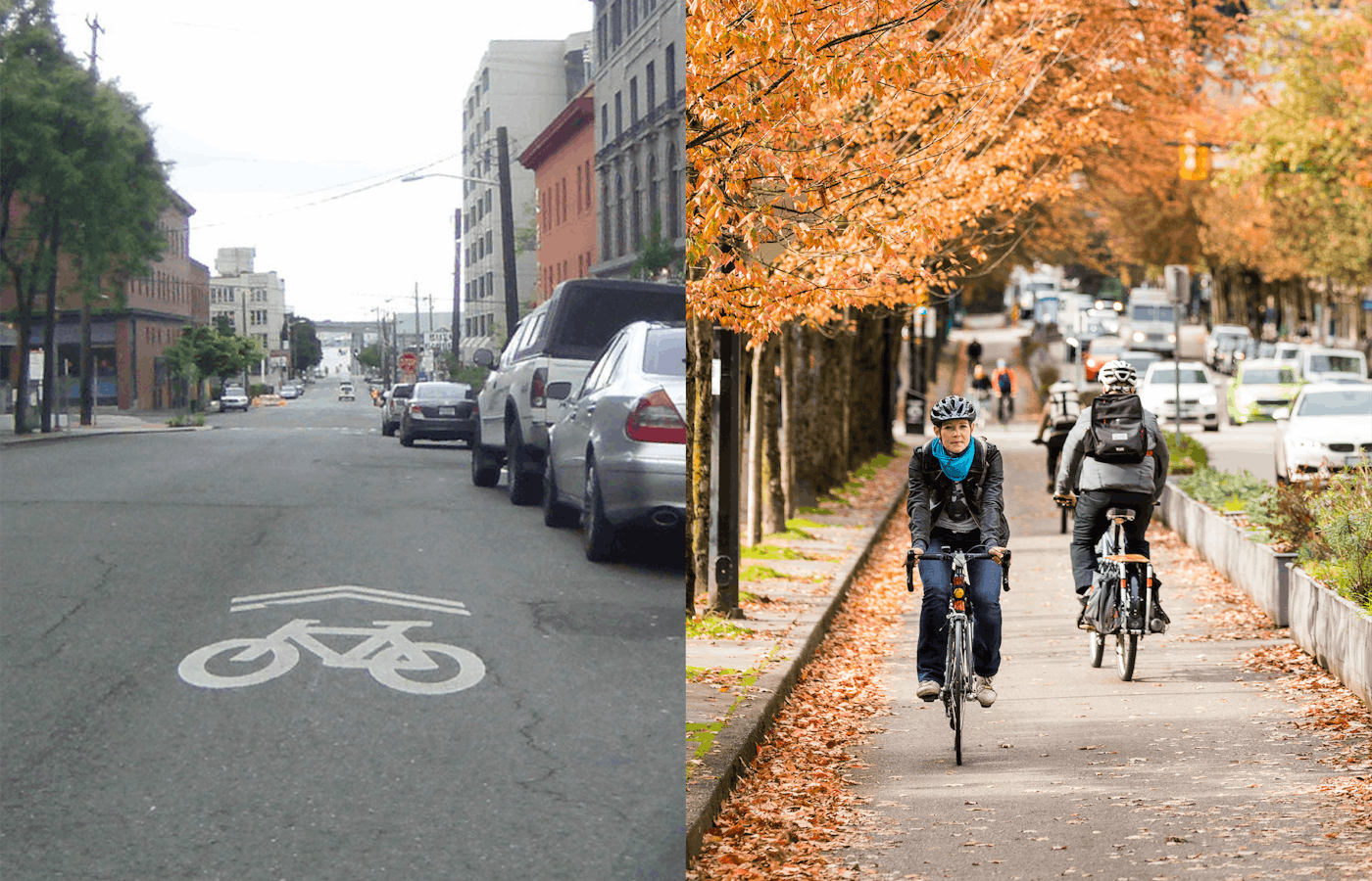Imagery for the We Were Wrong About Sharrows story