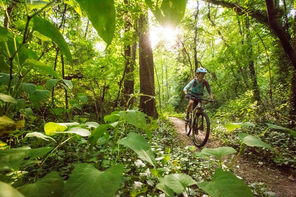 Bikes are made to be ridden.