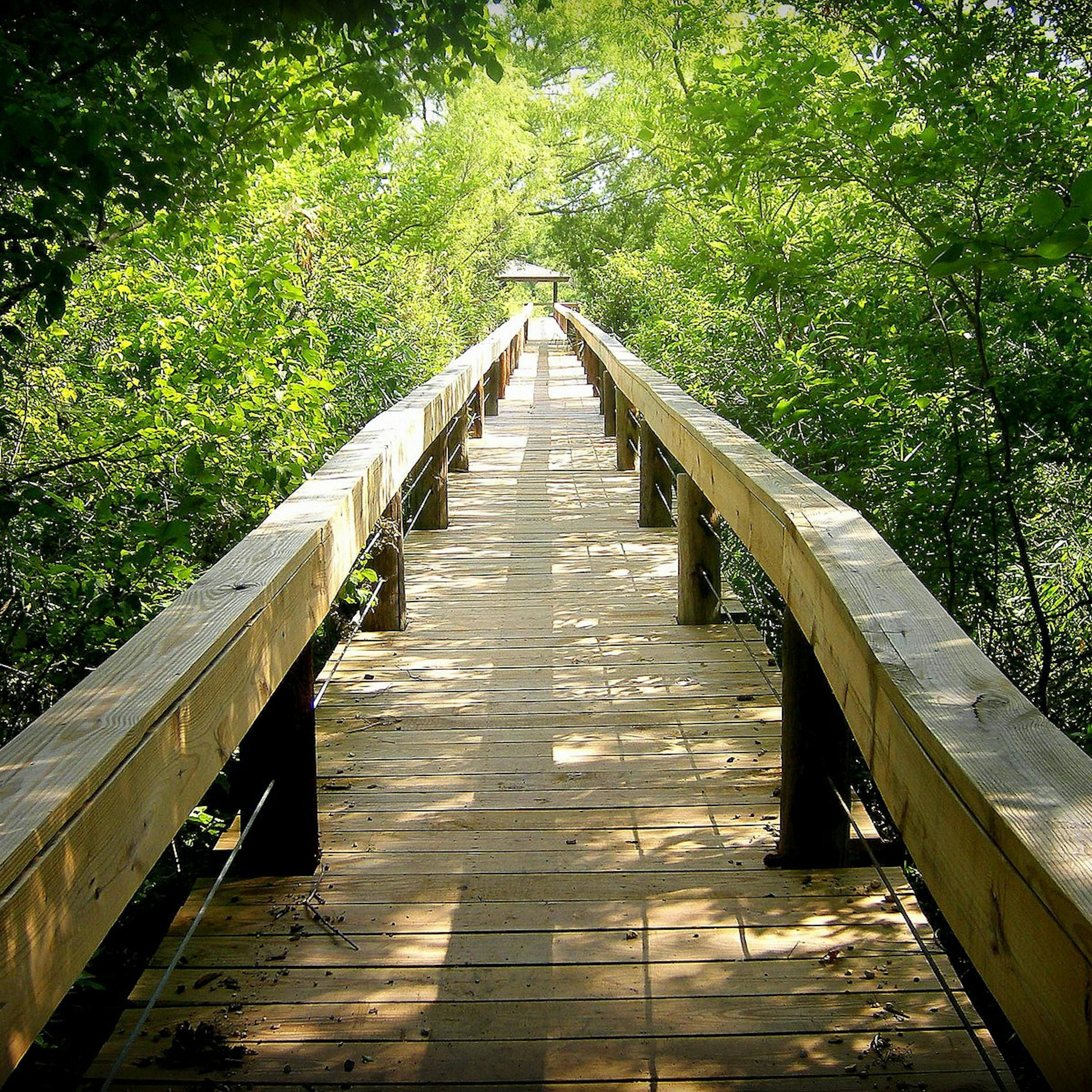 Scenic Dallas-Fort Worth trail with boardwalk