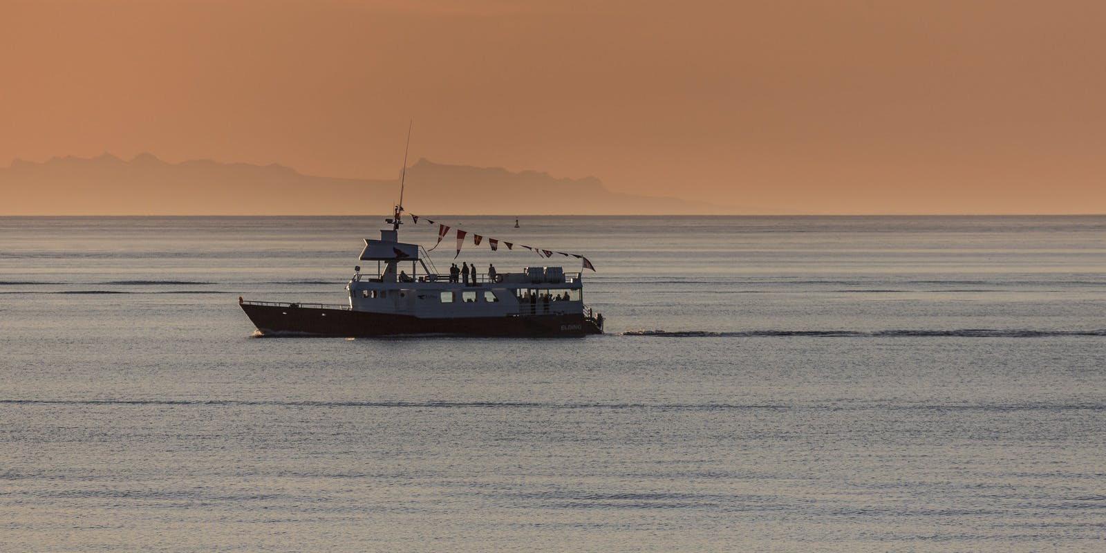 Whale watching boat