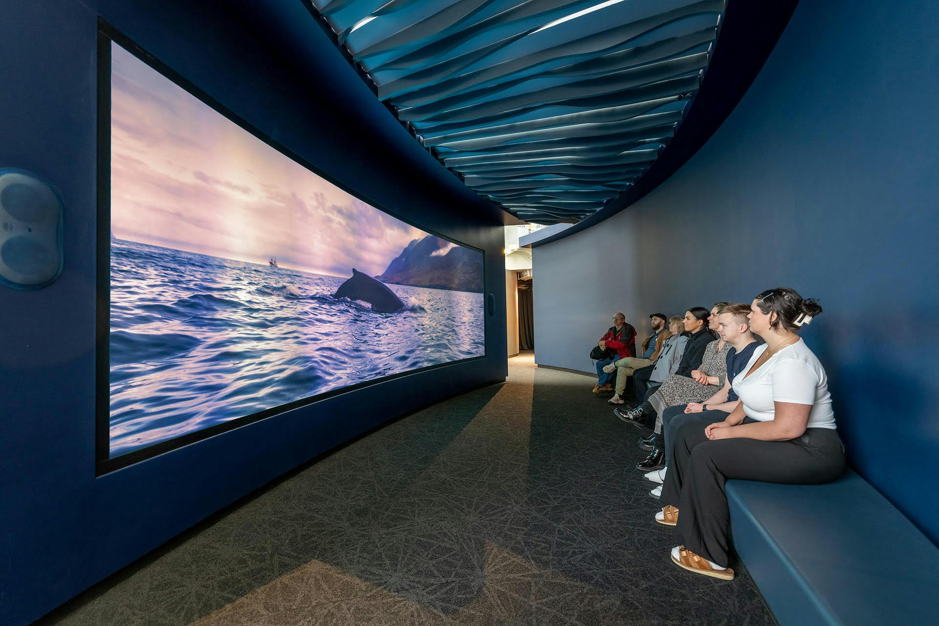 Perlan Museum Whale Watching Experience