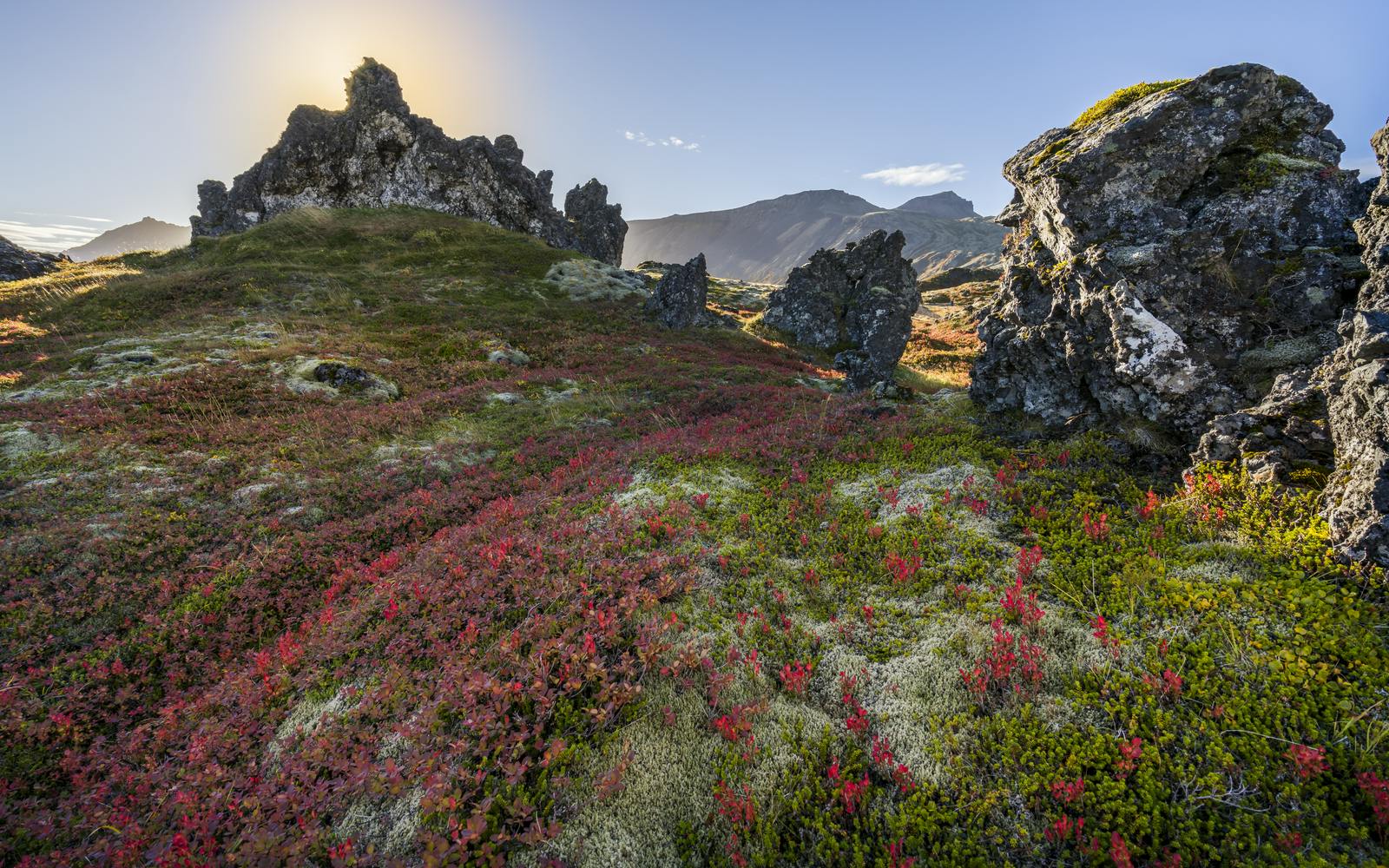 Snæfellsnes Flora