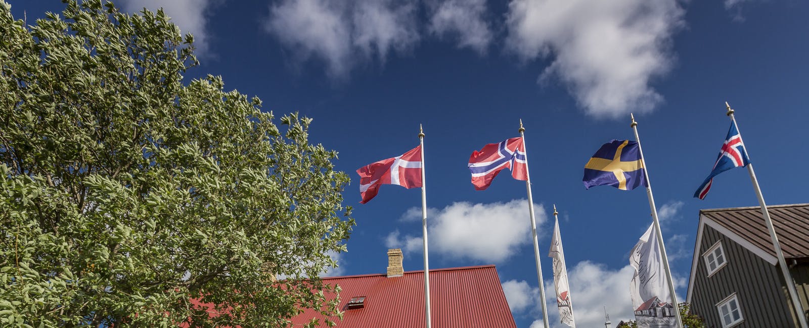 Flags of Denmark, Norway, Sweden and Iceland