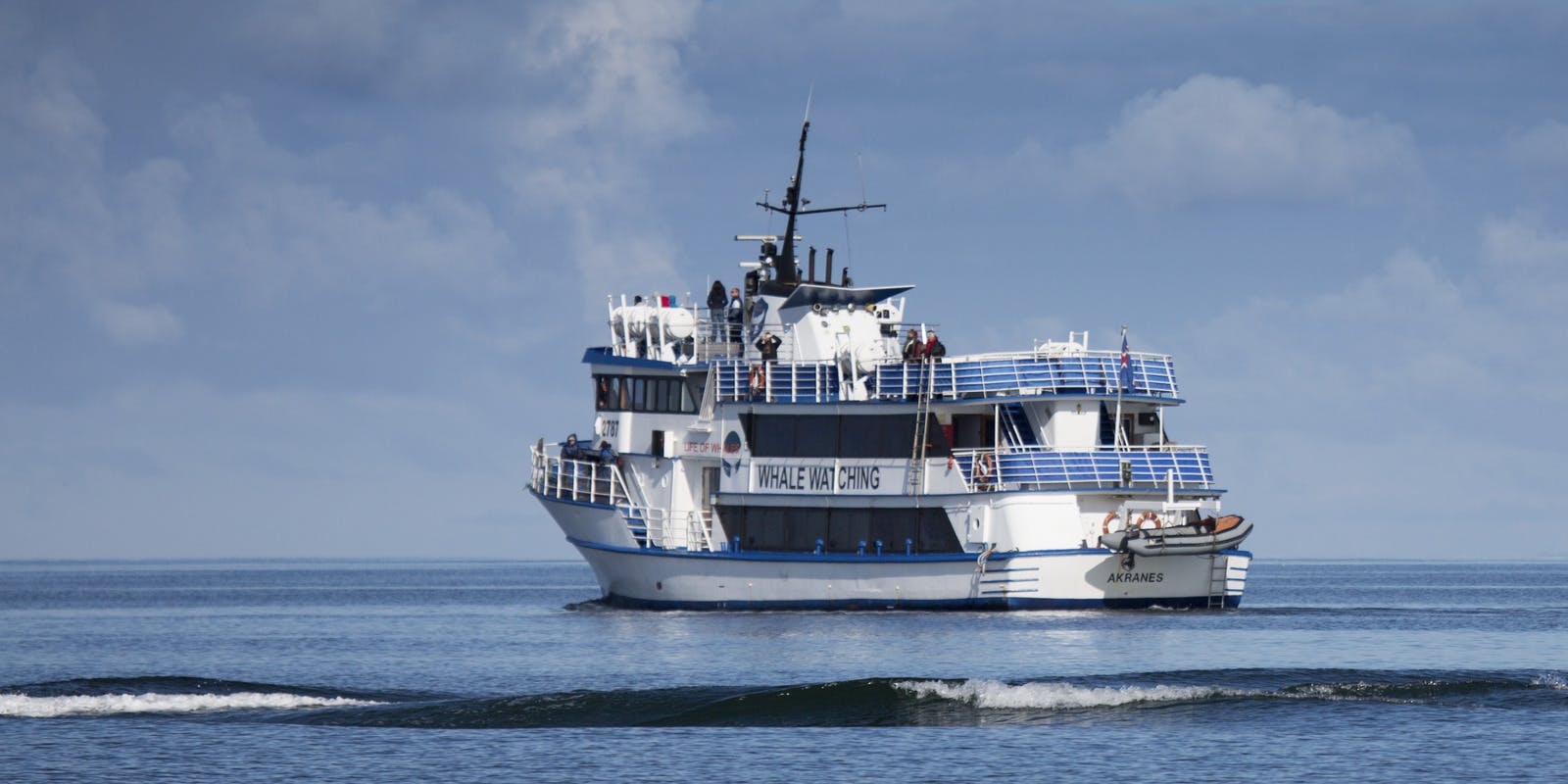 Whale watching boat