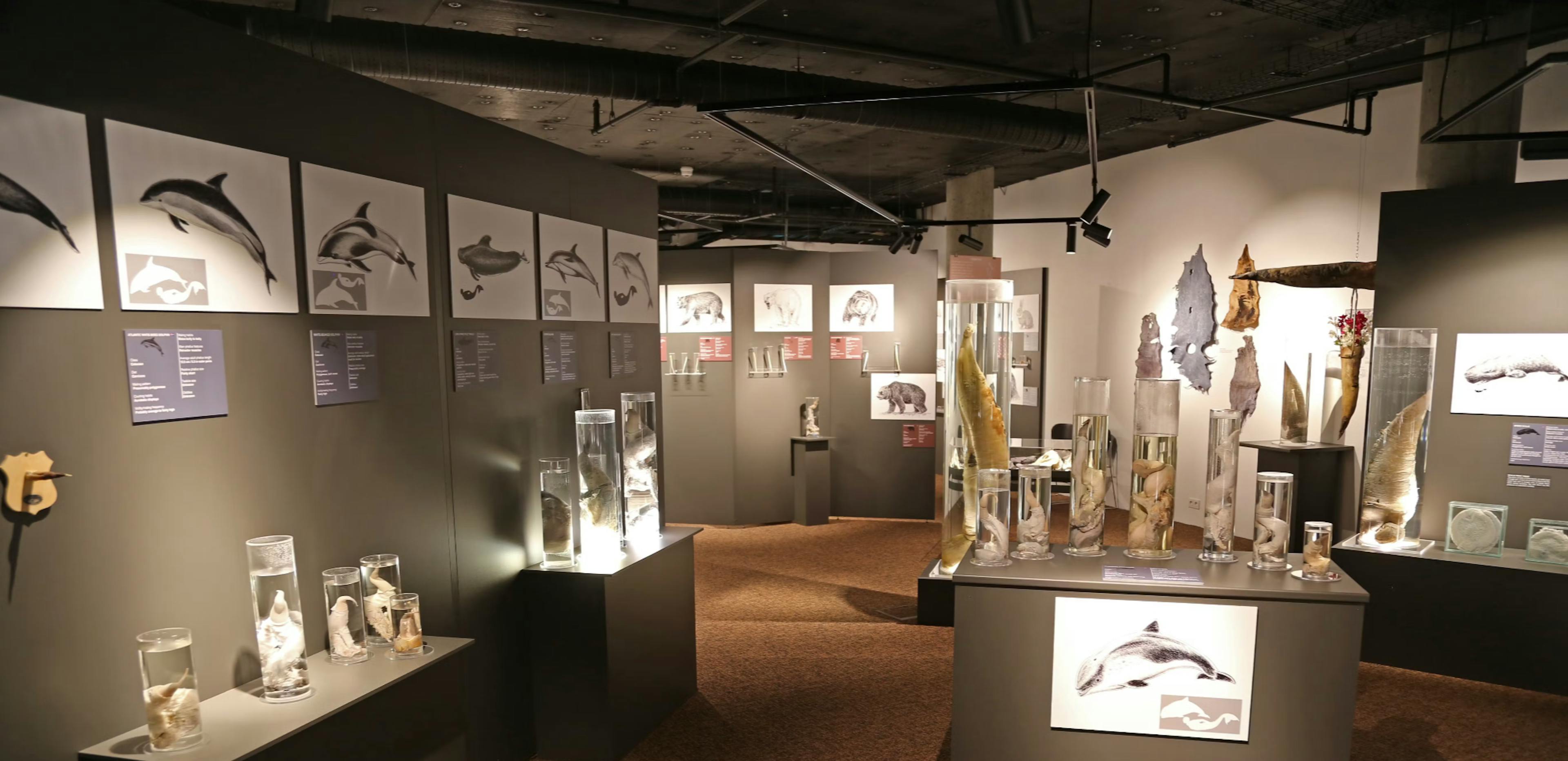 Museum in Reykjavik